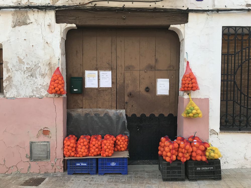 Oranges in Torres Torres
